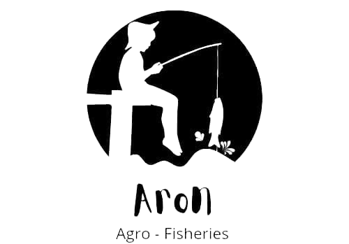 An overview of STITCHES' sister concern businesses, showcasing diverse operations within the group of companies in Bangladesh, including apparel production, export, and related industries.